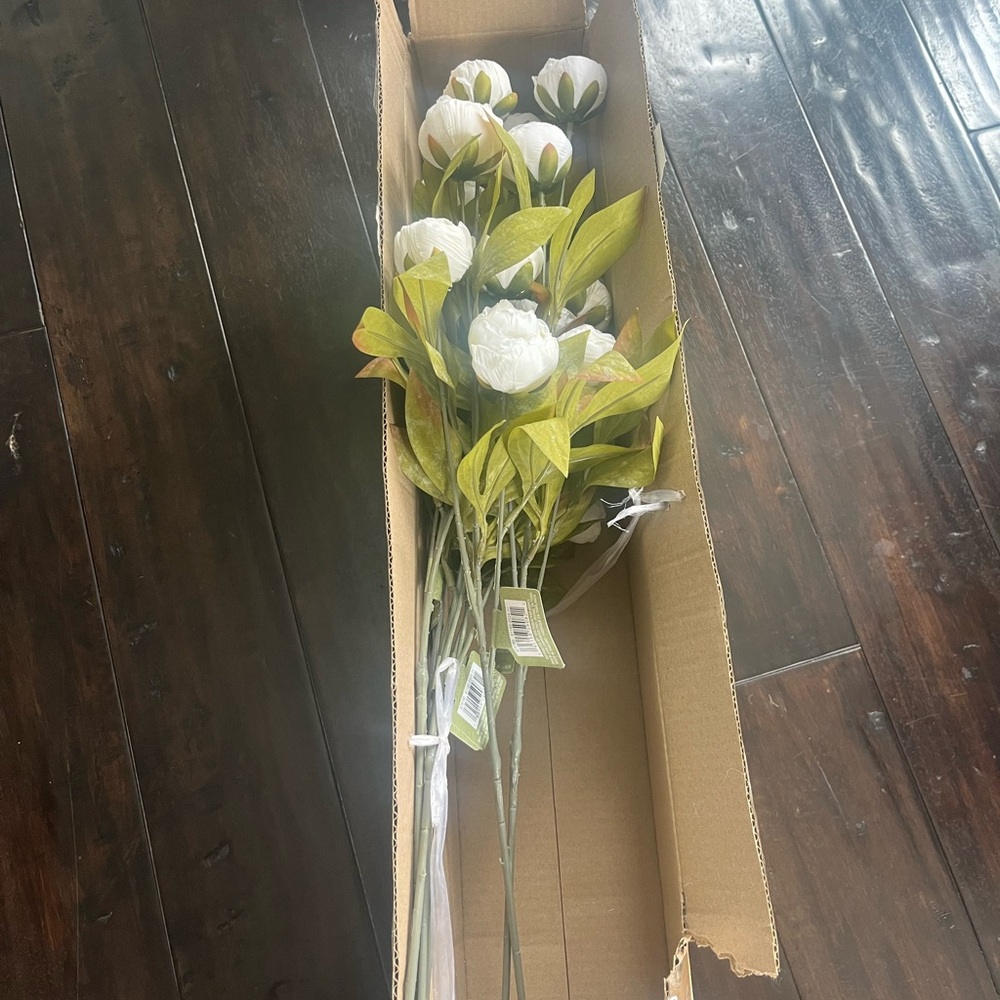 Cream Peony Stems by Ashland ( 6 stems)